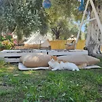 Ruina Glamping Κάμπινγκ *