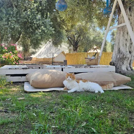 Ruina Glamping Кемпинг *