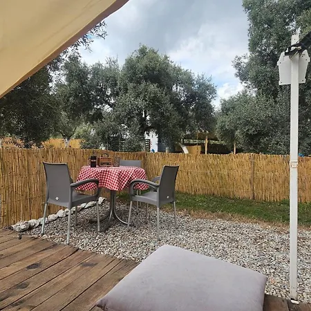 Ruina Glamping Campingplads Mezgit